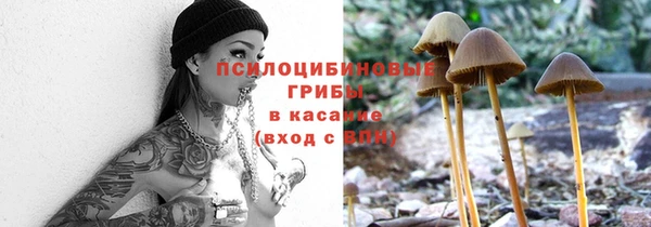 твердый Алексеевка