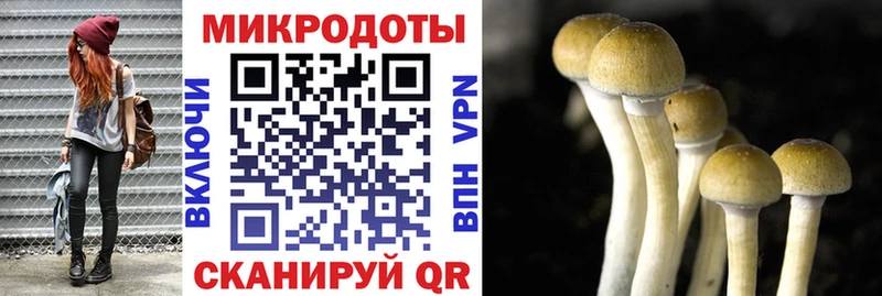 купить  сайты  Фролово  Галлюциногенные грибы Magic Shrooms 